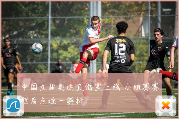 中国女排奥运直播室上线 小组赛赛程看点逐一解析
