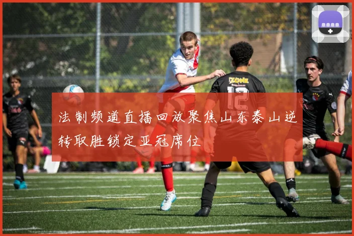 法制频道直播回放聚焦山东泰山逆转取胜锁定亚冠席位