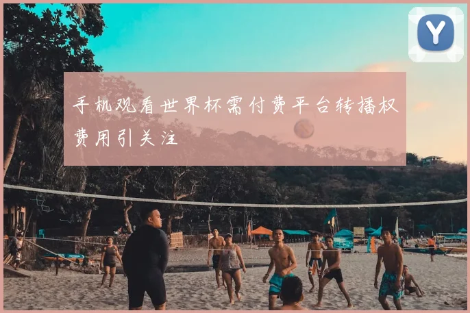 手机观看世界杯需付费平台转播权费用引关注