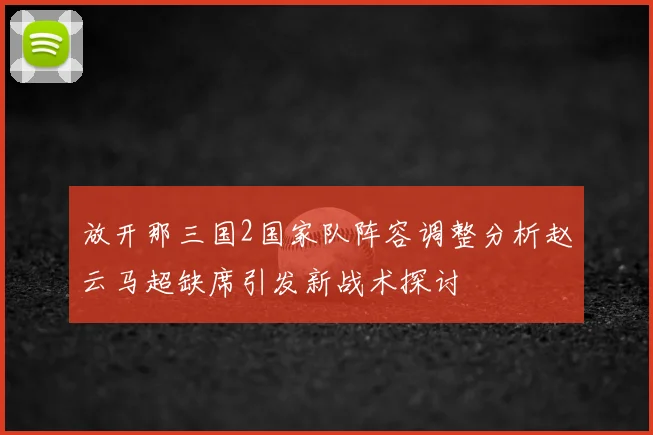 放开那三国2国家队阵容调整分析赵云马超缺席引发新战术探讨
