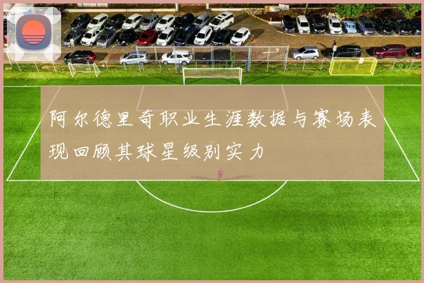 阿尔德里奇职业生涯数据与赛场表现回顾其球星级别实力