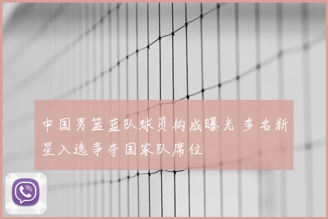 中国男篮蓝队球员构成曝光 多名新星入选争夺国家队席位